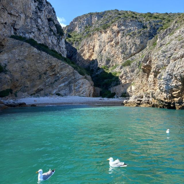 arrabida-natural-park-sunset-boat-trip-with-regional-drink