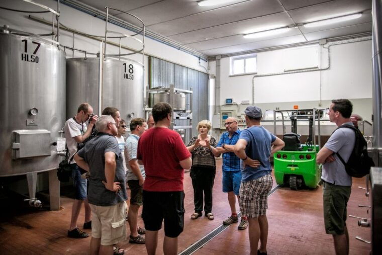 assisi-organic-winery-tour-with-tastings-typical-food
