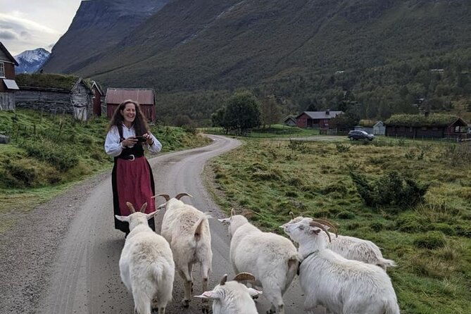 audio-guide-bus-tour-at-scenic-routes-of-andalsnes-to-trollstigen
