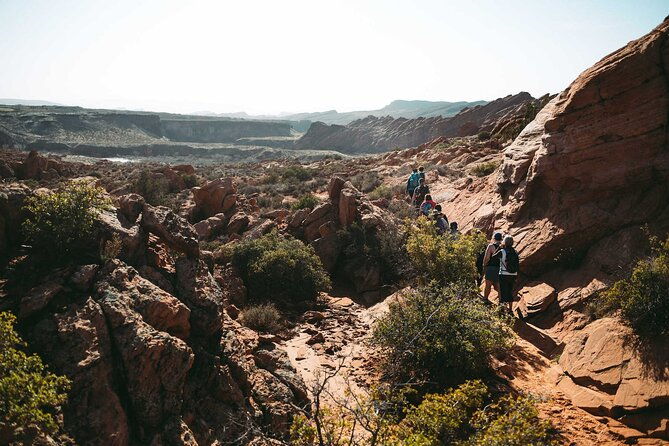 babylon-arch-hike-and-desert-wildlife-adventure