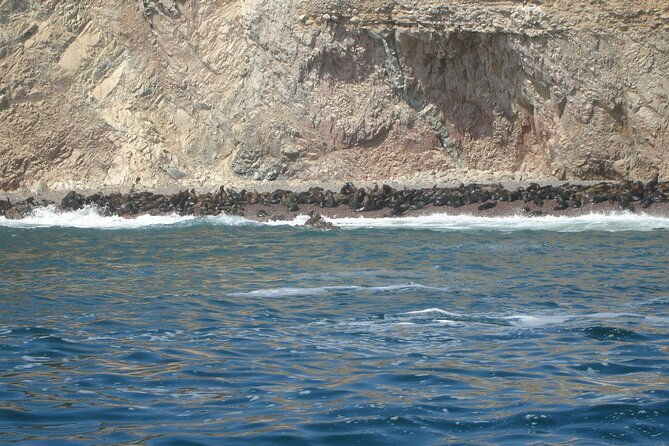 ballestas-islands-and-paracas-reserve-tour-from-san-martin-cruise