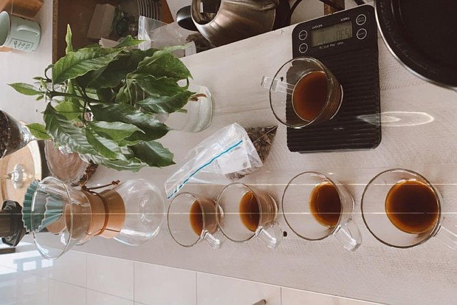barismo-for-beginners