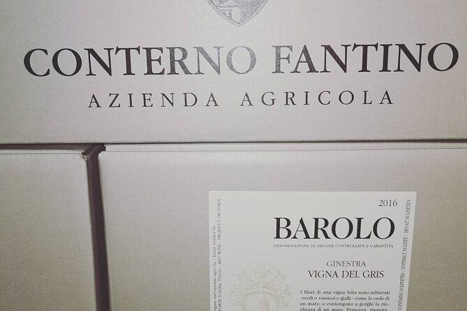 barolobarbaresco-wine-tour-with-a-local-winemaker-from-asti