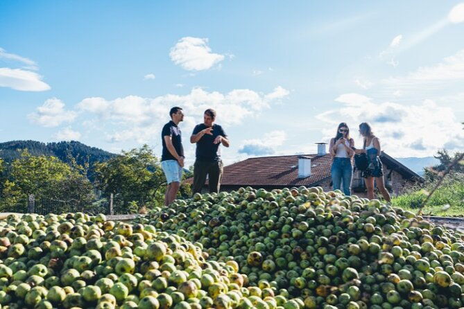 basque-whaleship-cider-house-tour-meal-from-san-sebastian