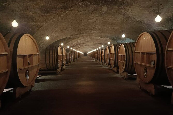 beaujolais-wine-and-perouges-village-full-day-shared-tour