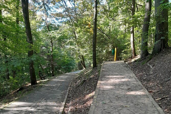 belgrade-hiking-tour-on-mountain-avala