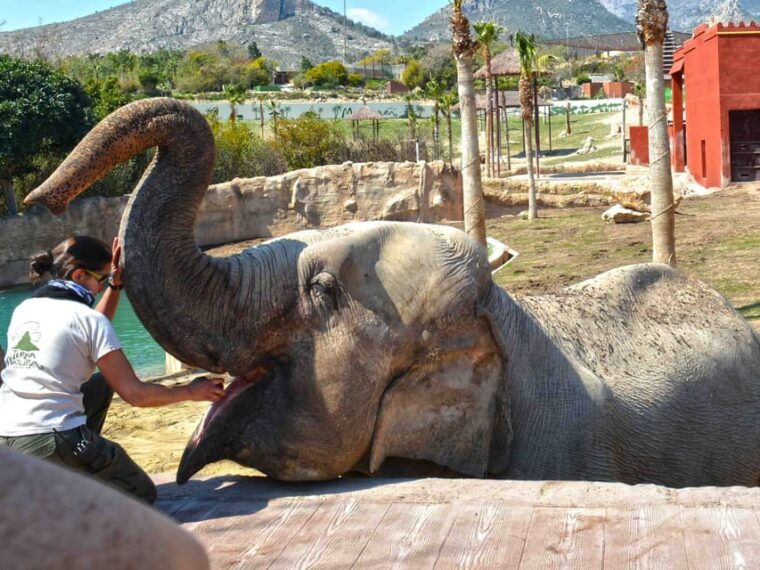benidorm-terra-natura-and-aqua-natura-combo-day-ticket