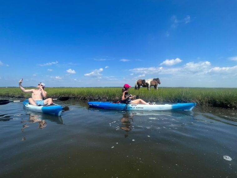 berlin-assateague-island-wildlife-discovery-kayak-tour
