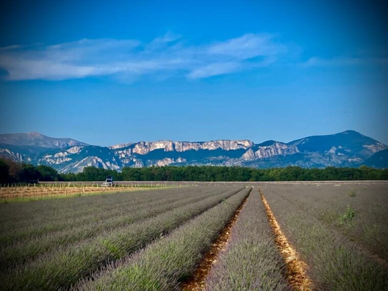 bespoke-luxury-sightseeing-experiences