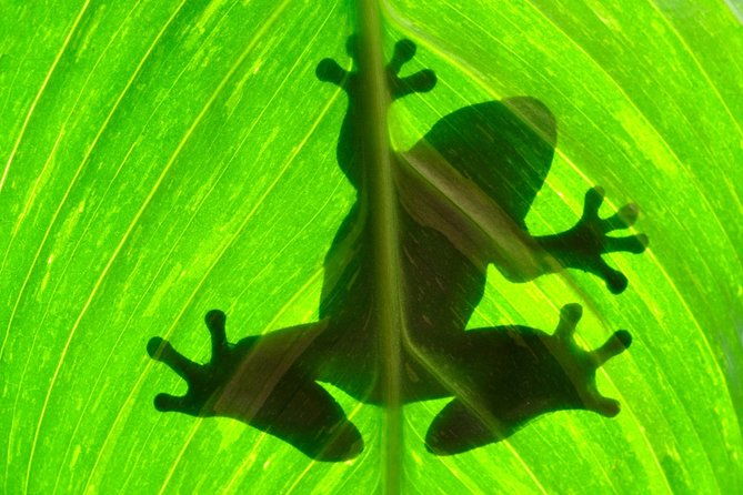 best-of-costa-rica-12d-11n-vacation-package