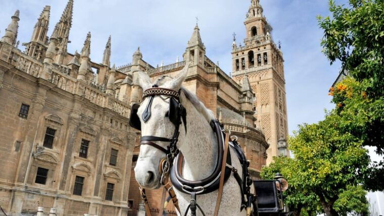 best-of-seville-private-walking-tour-with-local