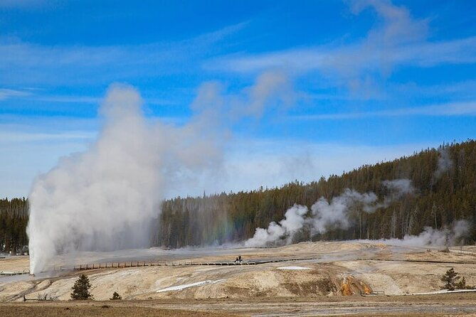 best-of-yellowstone-natl-park-from-w-yellowstone-private-tour