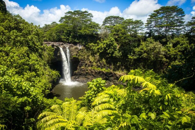 big-hawaii-private-guided-van-tour