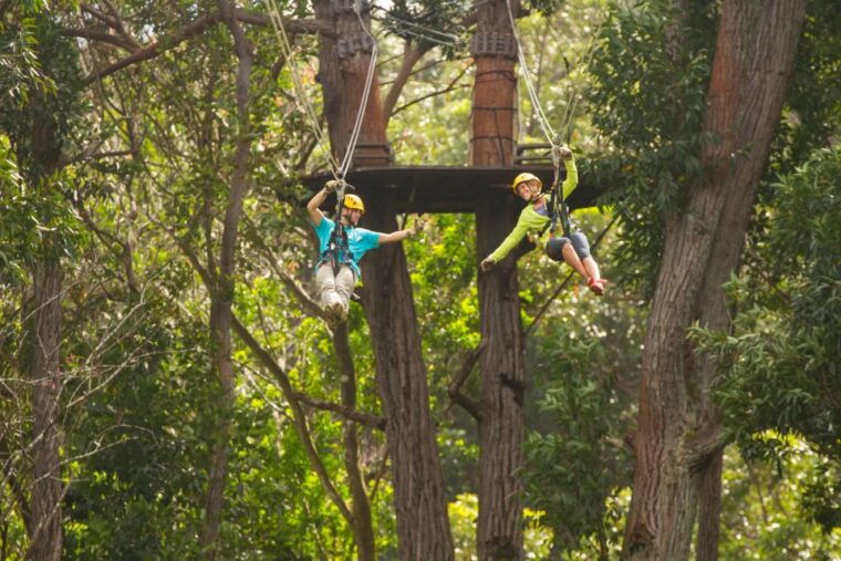 big-island-full-day-kohala-zipline-and-waterfall-adventure