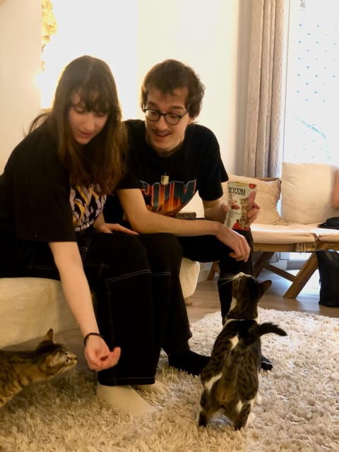 bilbao-30-minute-entry-ticket-to-a-cat-cafe