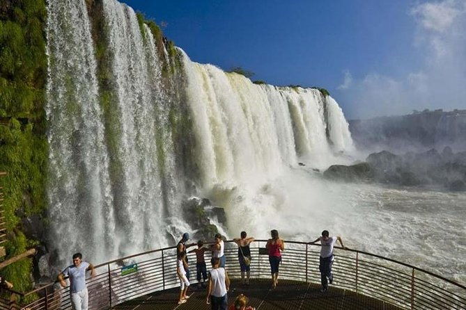 bird-park-iguassu-brazilian-side-from-puerto-iguazu-hotels-private-tour