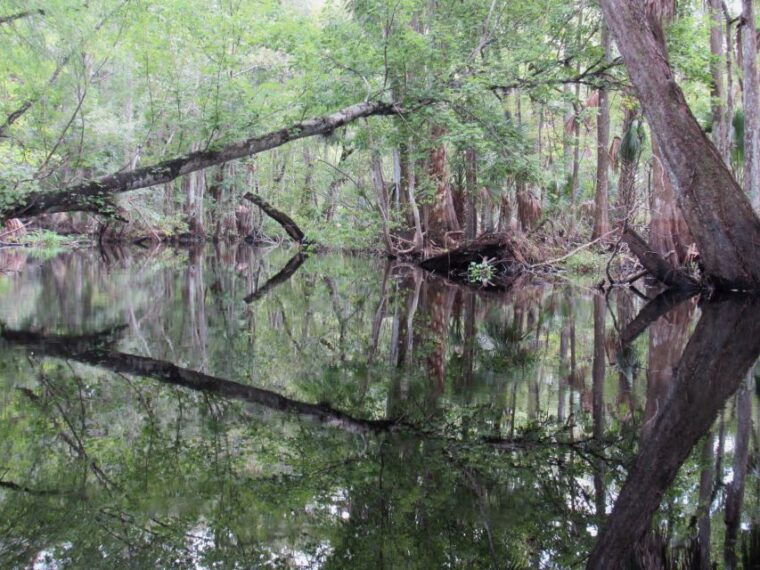 blackwater-creek-exclusive-nature-escape-kayak-adventure