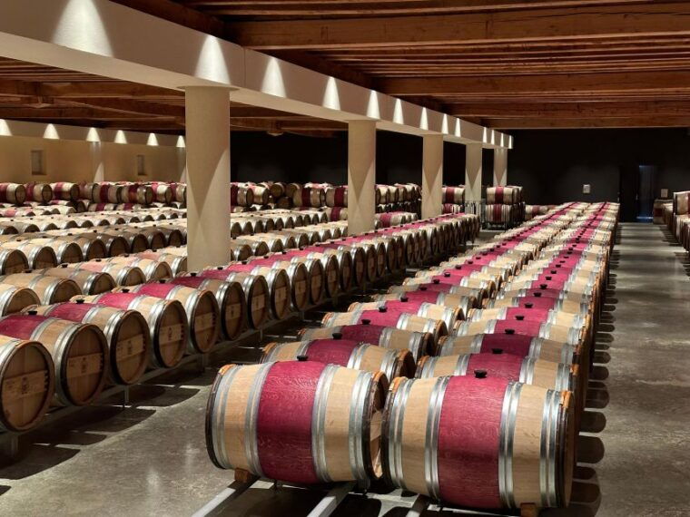 bordeaux-medoc-tour-in-a-small-group-luxury-mercedes-eqv