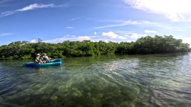 bradenton-guided-pedal-kayak-tour