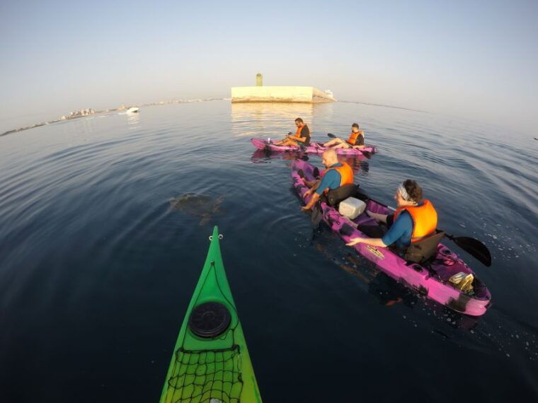 brindisi-kayaking-at-santandrea-island-turtle-watching