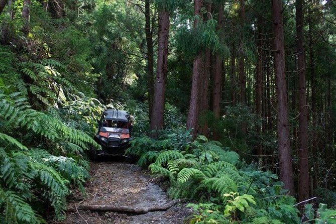 buggy-off-road-excursion-coast-to-coast-half-day-shared