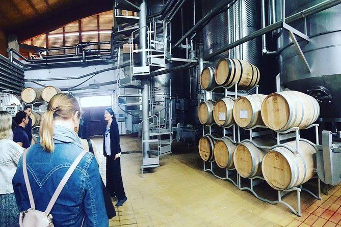 cagliari-wine-and-cheese-tasting-private-experience