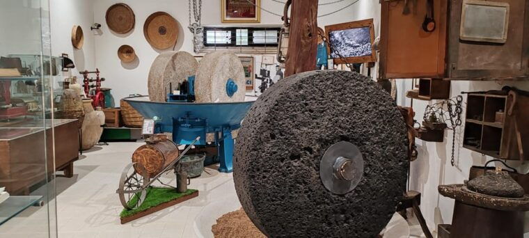 cagliari-wine-and-olive-oil-experience-oil-mill-museum