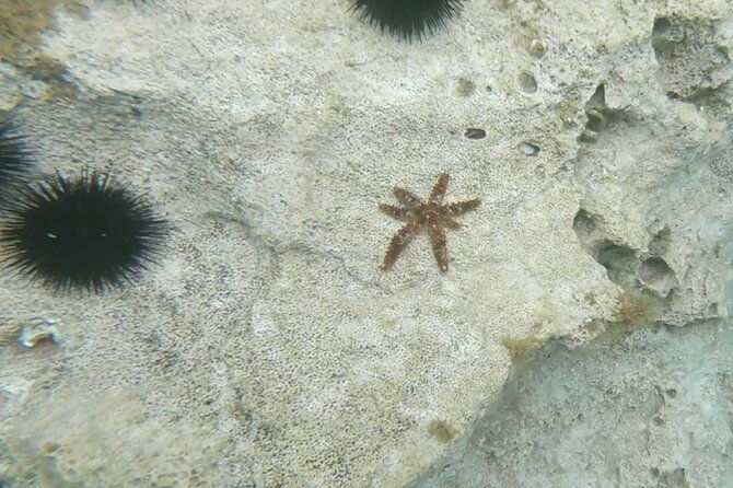 cala-gonone-snorkeling-in-the-orosei-gulf