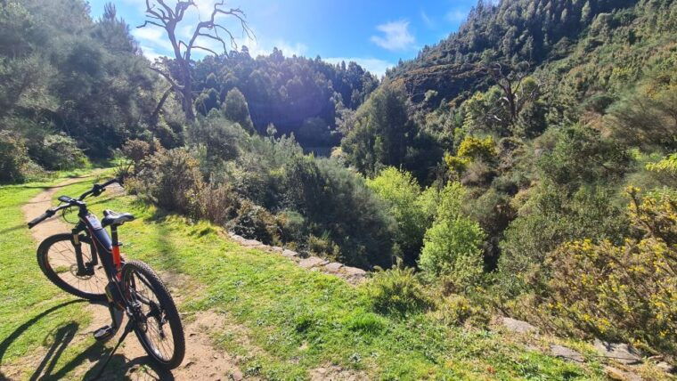 camacha-levada-trail-e-bike-guided-tour