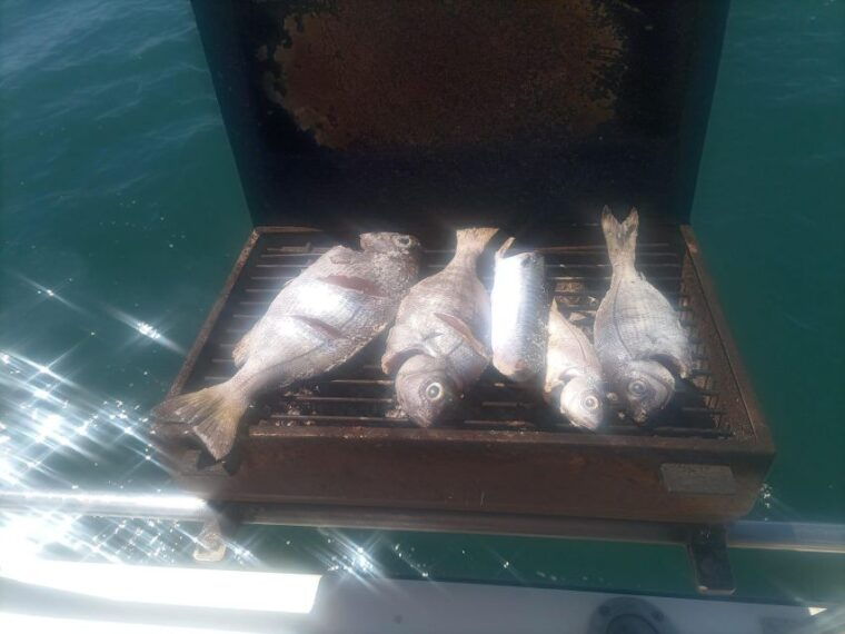 cascais-half-day-fishing-tour