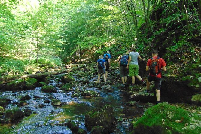 cave-hike-bike-and-explore-the-western-carpathianstransylvaniaromania