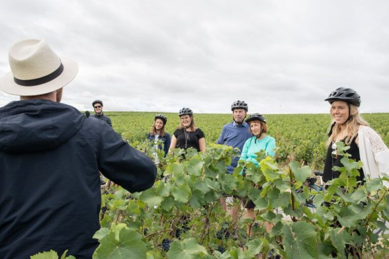 champagne-e-bike-champagne-day-tour-with-tastings-and-lunch
