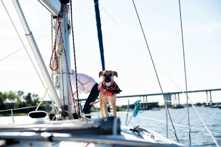 charleston-private-byob-luxury-sailing-cruise