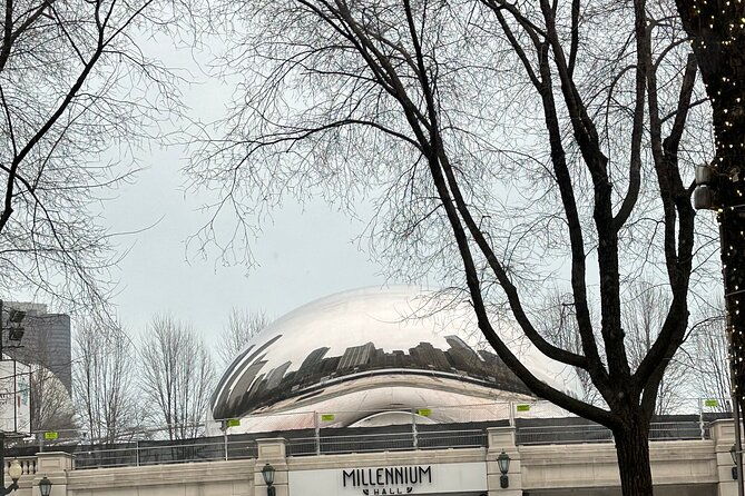 chicago-in-a-day-with-a-local