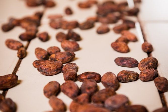 chocolate-making-class-from-the-cocoa-bean-to-the-bar-at-chocomuseo-in-cusco