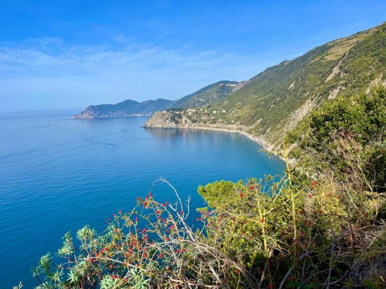 cinqueterre-experience