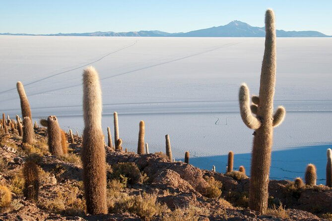 classic-uyuni-salt-flat