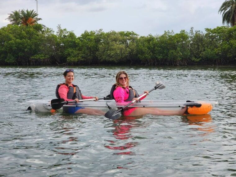 clearwater-guided-clear-kayaking-tour