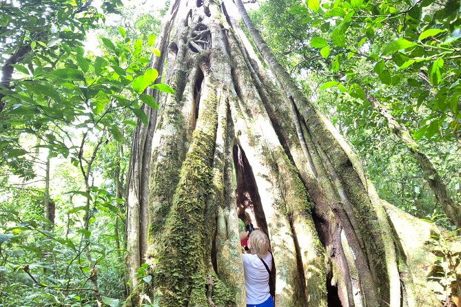 cloud-forest-wonders-guided-tour