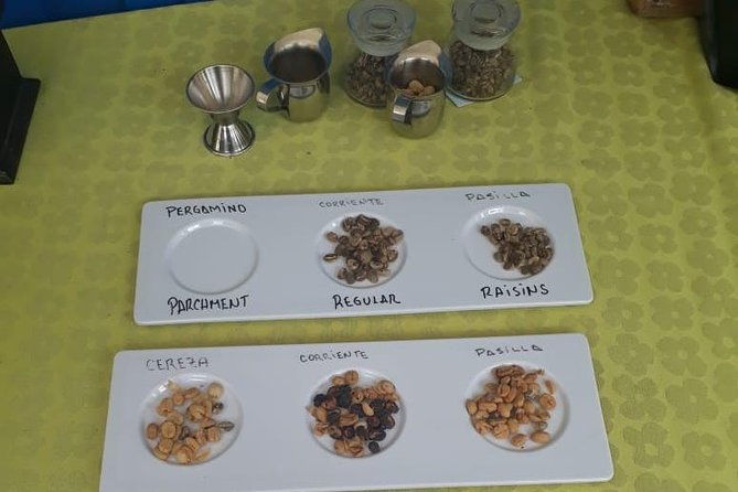 coffee-tour-medellin-2