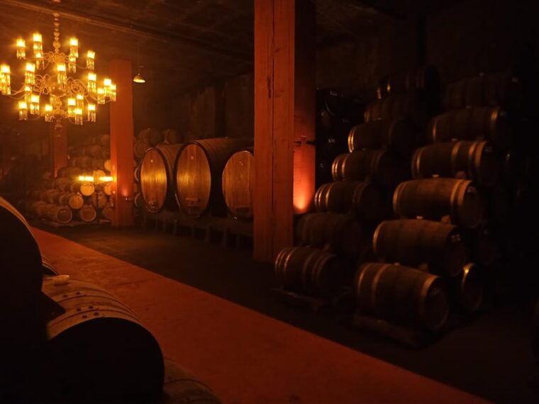coimbra-bairrada-gastronomic-route-tour