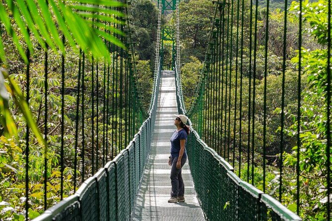 combo-monteverde-cable-car-zip-line-tour-suspension-bridges