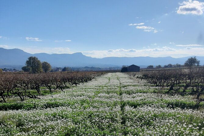 countryside-immersion-with-horseback-riding-in-sainte-victoire