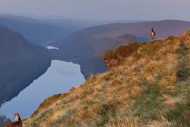 day-tour-to-county-wicklow
