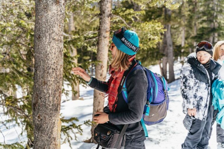denver-glacier-hike-and-geothermal-cave-pools