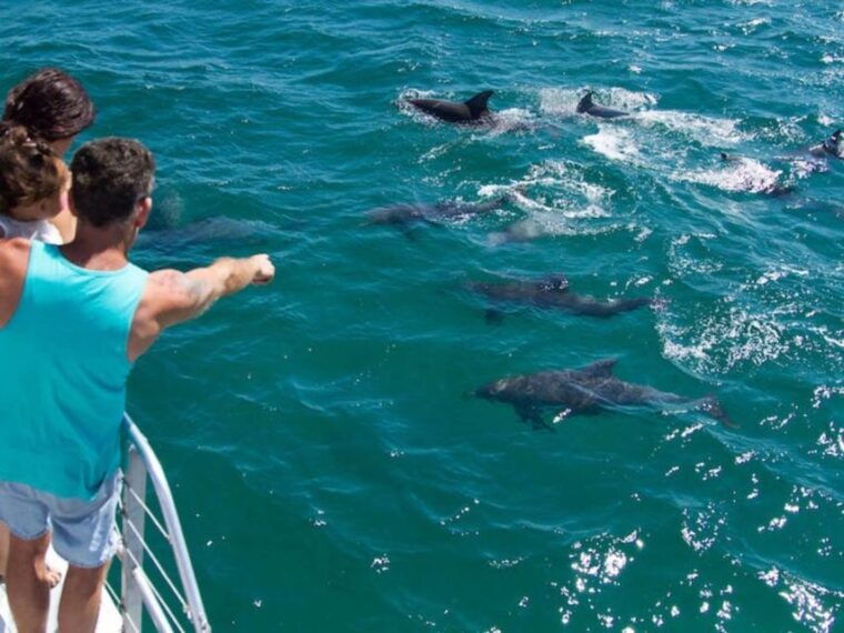 destin-snorkeling-cruise-with-2-stops-and-dolphin-watching