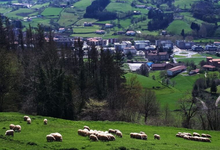 discover-the-art-of-idiazabal-cheese-in-the-basque-country