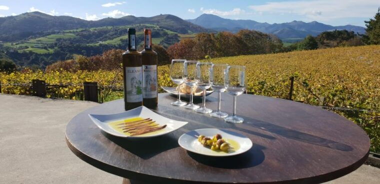 discover-the-essence-of-txakoli-wine-from-san-sebastian