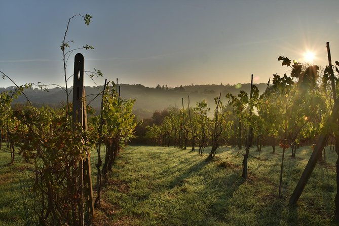 discover-the-wine-producers-of-emilia-romagna