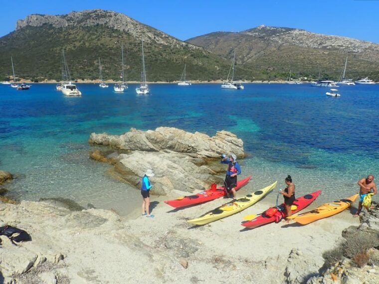 dolphin-kayak-safari-at-sunset-at-golfo-aranci